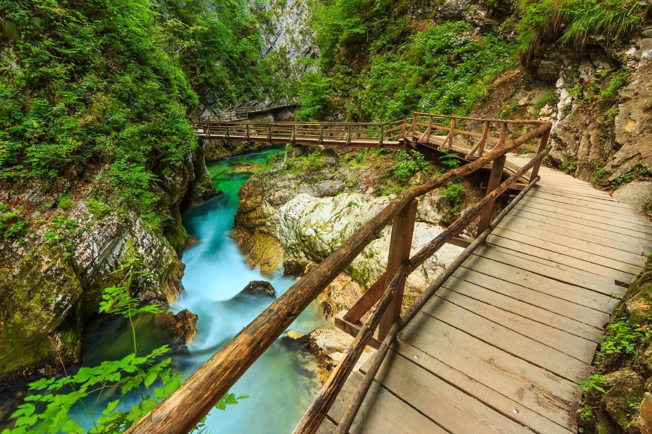 Lake Bled Holiday Home Buitenkant foto